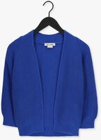 Blauwe BELLAMY Vest TESS