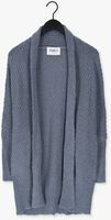 Blauwe SIMPLE Vest KNITTED CARDIGAN ICE STRUC