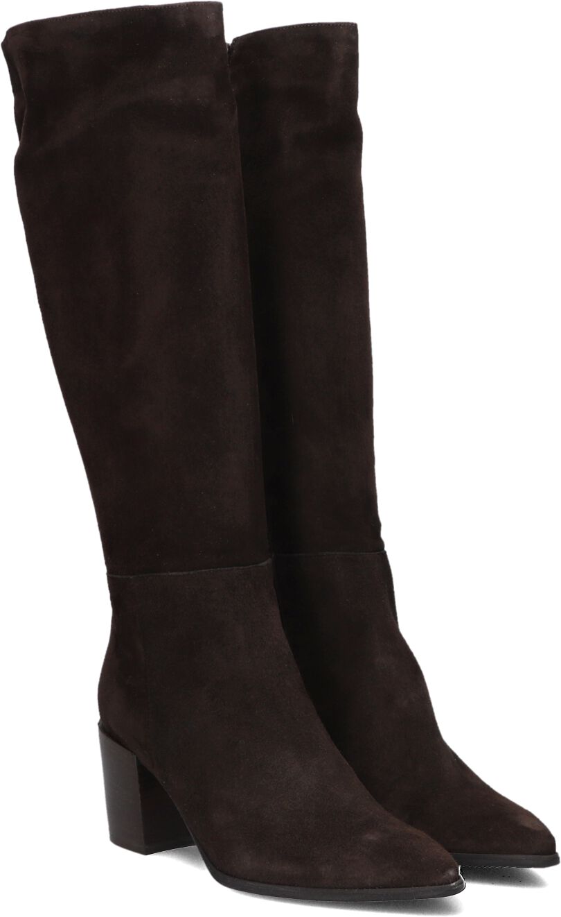 LINA LOCCHI Hoge Laarzen Dames Ar 70 Maat: 39 Materiaal: Suède Kleur: Bruin