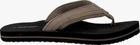 Taupe REEF Slippers R5221 - medium
