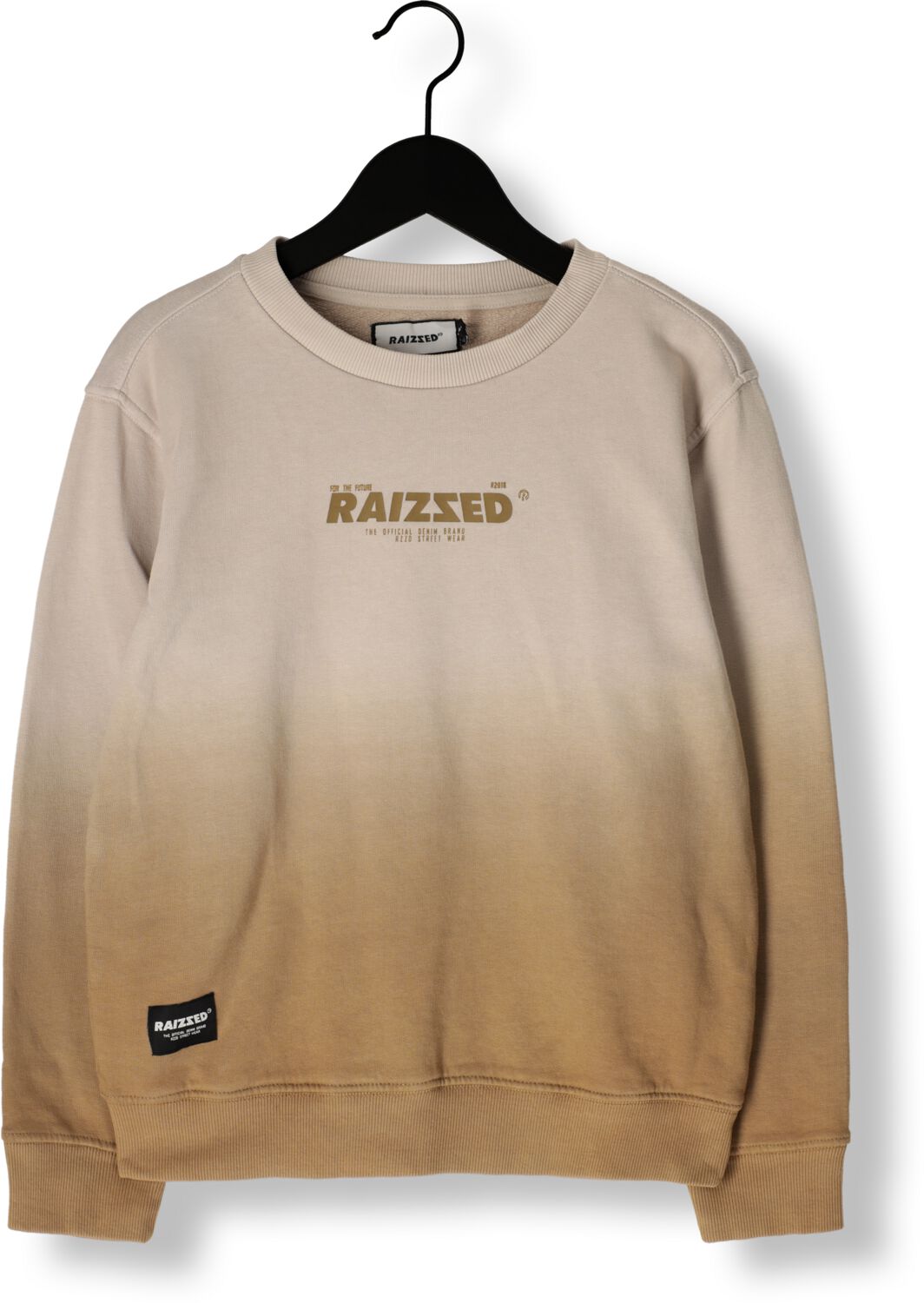 RAIZZED Jongens Truien & Vesten Male Zand
