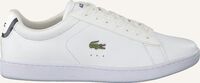 Witte LACOSTE Lage sneakers CARNABY EVO DAMES - medium