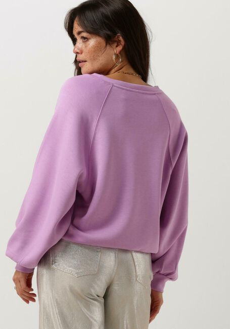 Paarse MSCH COPENHAGEN Trui MSCHNELINA IMA Q RAGLAN SWEATSHIRT - large