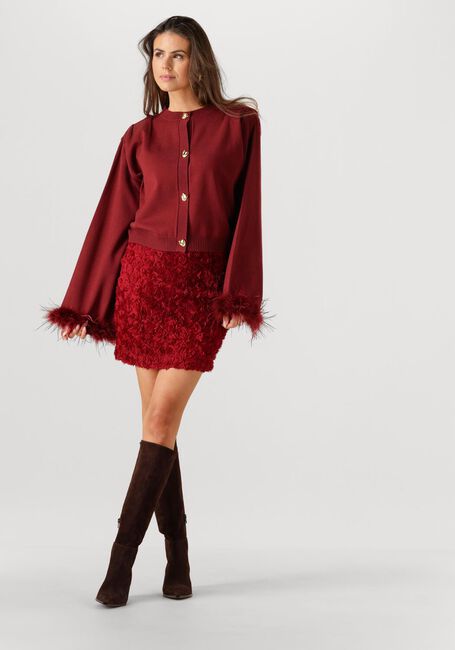 Bordeaux REFINED DEPARTMENT Minirok YAEL - large