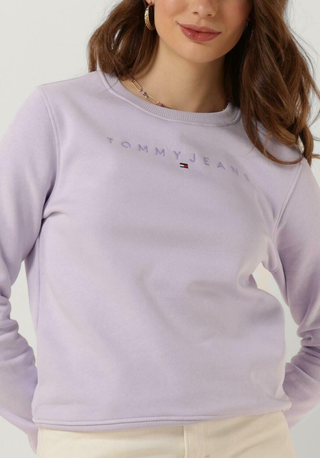 TOMMY JEANS Dames Truien & Vesten Tjw Reg Tonal Linear Crew Lila