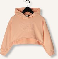 Lichtroze RETOUR Sweater BIBI Lichtroze RETOUR Sweater BIBI - medium