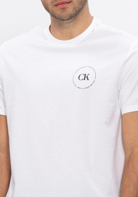 Witte CALVIN KLEIN T-shirt 30S EU WHOLESALE JEANS GRAPHICS - large