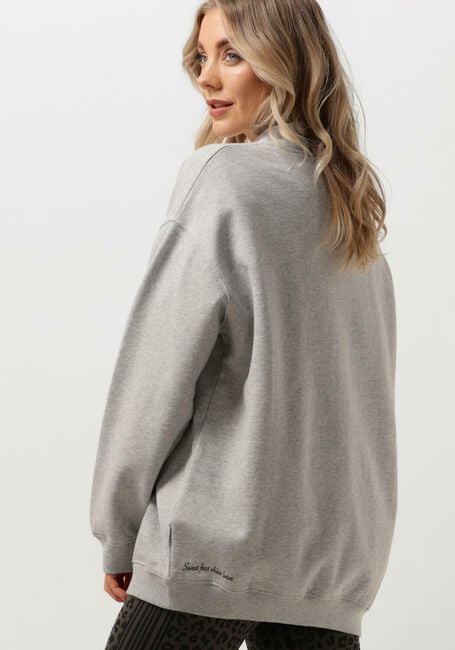 Grijze DEBLON SPORTS Sweater PUCK SWEATER - large