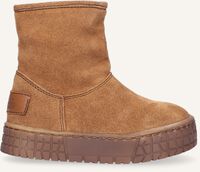 Cognac PINOCCHIO Vachtlaarzen P2458 - medium