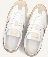 Beige HABOOB Lage sneakers CHARLOTTE Beige HABOOB Lage sneakers CHARLOTTE - medium