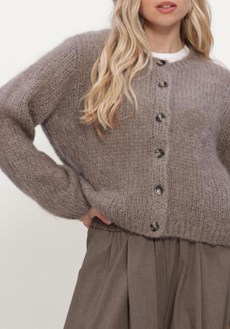 Taupe INWEAR Trui JETRAIW CARDIGAN - large