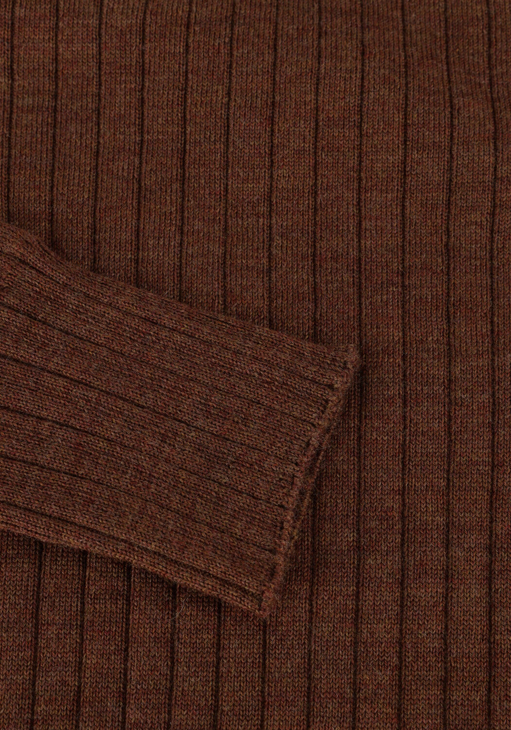 Bruine BELLAMY Coltrui LIZZY - large