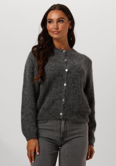 Grijze BY-BAR Trui CLEO NATURAL CARDIGAN - large