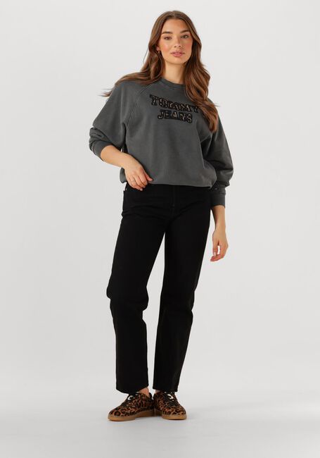 Donkergrijze TOMMY JEANS Trui TJW BXY LEOPARD VARSITY CREW - large