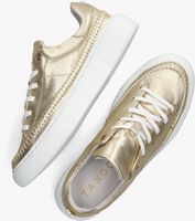Gouden TANGO Lage sneakers ALEX 25 - medium
