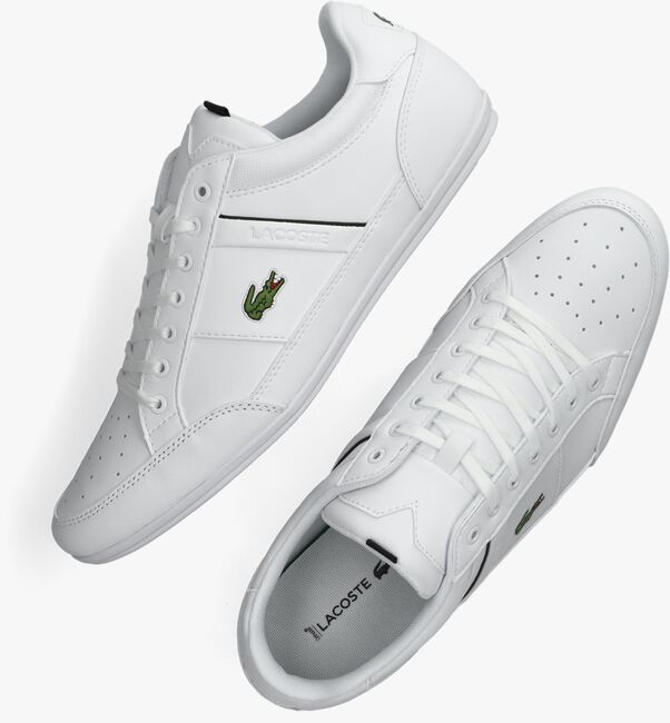 Witte LACOSTE Lage sneakers CHAYMON - large