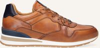 Cognac MAZZELTOV Lage sneakers 11742 - medium