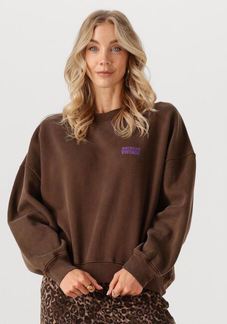 Bruine AMERICAN VINTAGE Trui PLIZZY - large