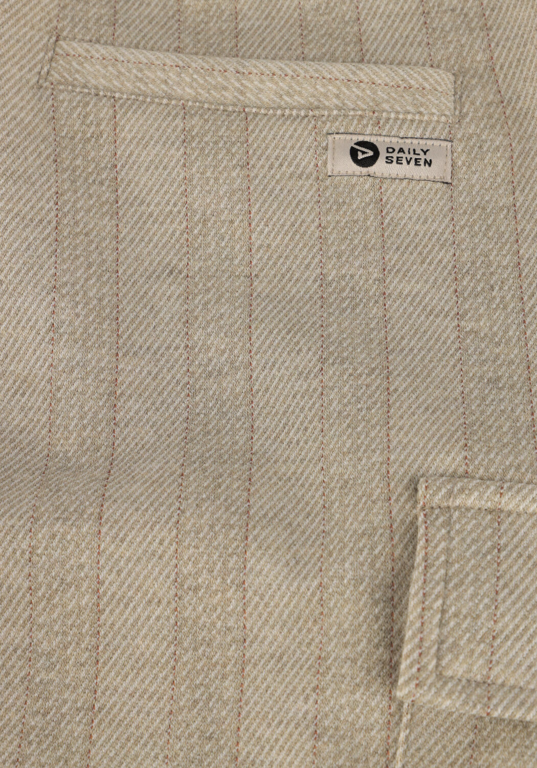 Grijze DAILY7 Korte broek CHECK CARGO SHORT - large