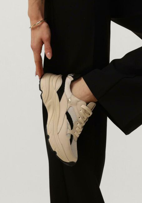 Beige HABOOB Lage sneakers LPTOKIO - large