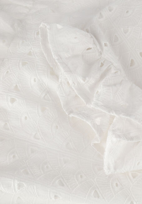 Witte COLOURFUL REBEL Mini jurk JAGGER BRODERIE ANGLAISE RUFFLE MINI DRESS - large
