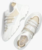 Witte TANGO Lage sneakers ALICIA 2 - medium