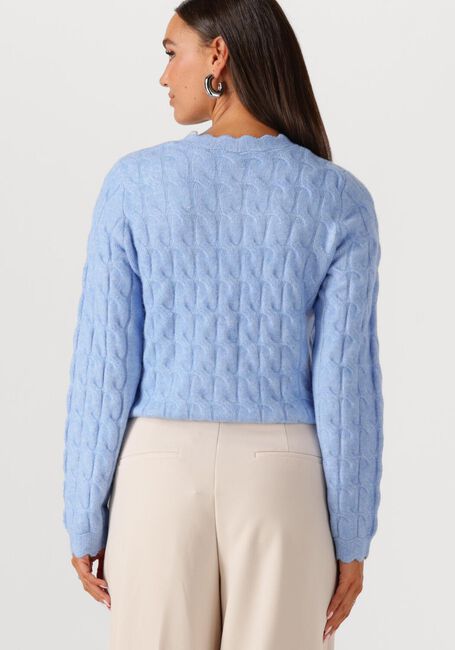 Lichtblauwe Y.A.S. Trui YASBUBERA LS KNIT CARDIGAN - large