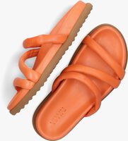 Oranje VIA VAI Slippers CANDY POP - medium