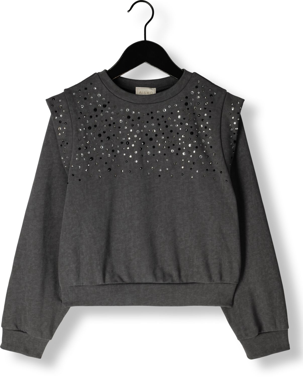 AI&KO Meisjes Truien & Vesten Carolla Strass Co 337 G Grijs