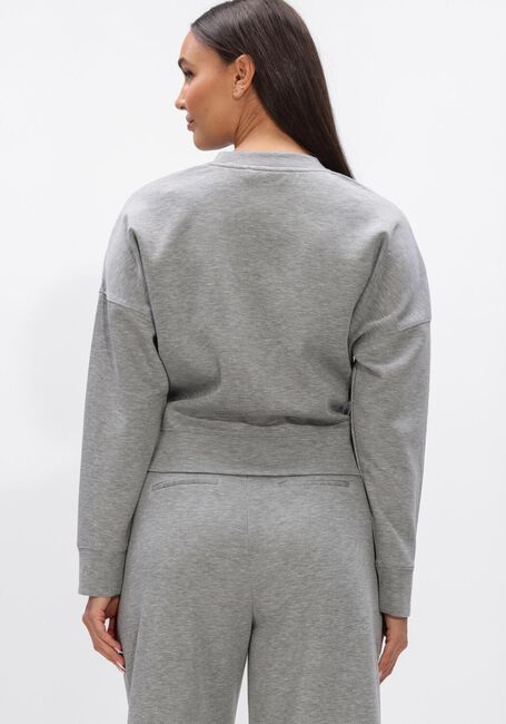 Grijze CO'COUTURE Truien/vesten LANCE BELT SWEAT - large