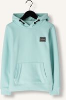 Groene INDIAN BLUE JEANS Sweater HOODIE INDIAN BRUSHED - medium