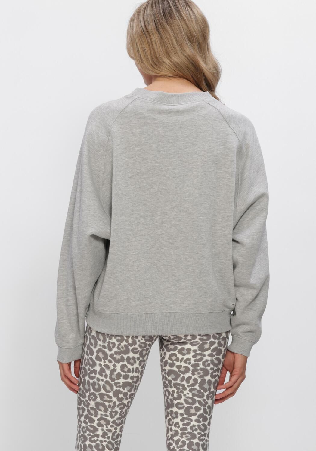 Grijze DEBLON SPORTS Sweater VIVE SWEATER - large