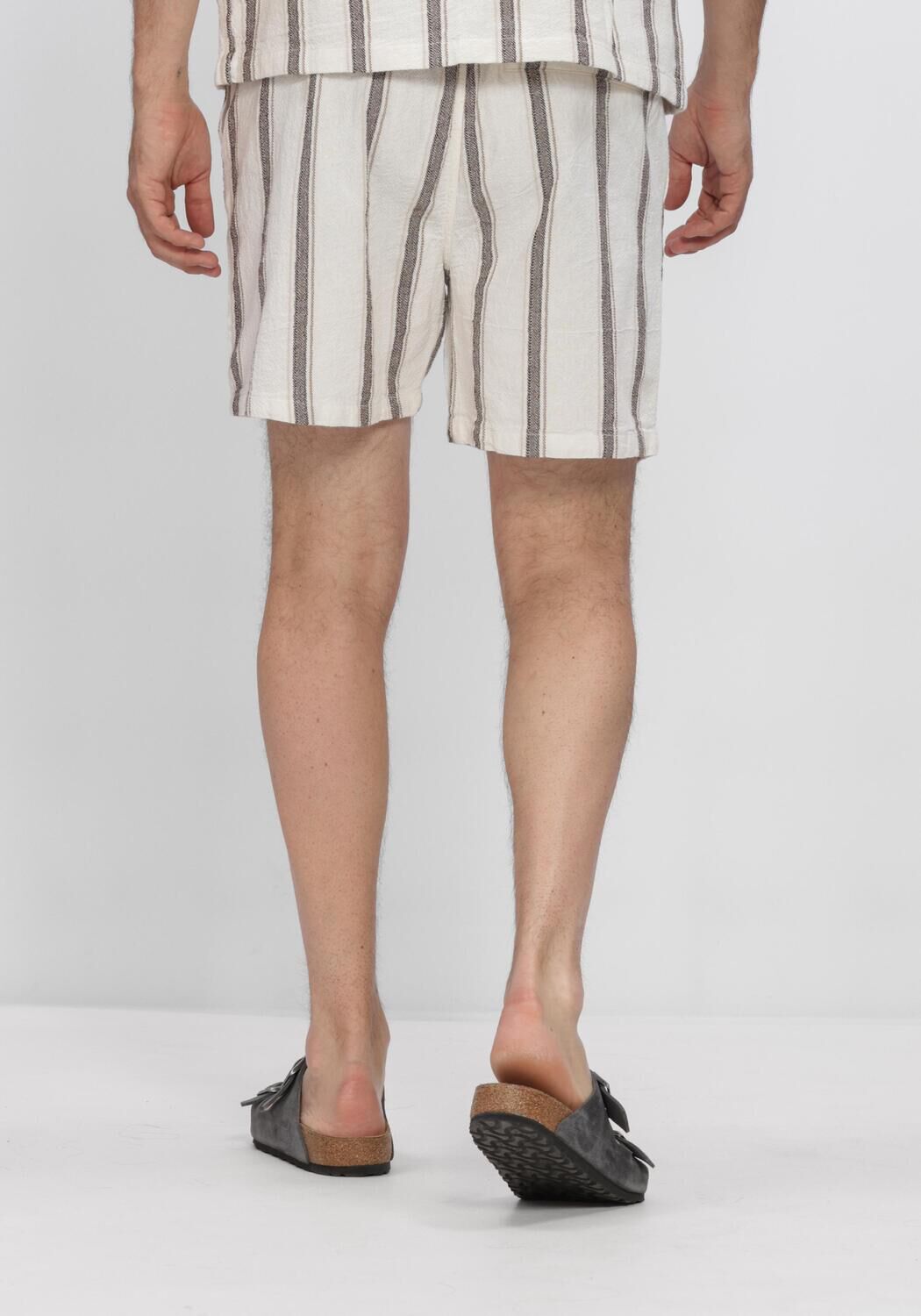 Multi PURE PATH Korte broek STRIPED SHORTS - large