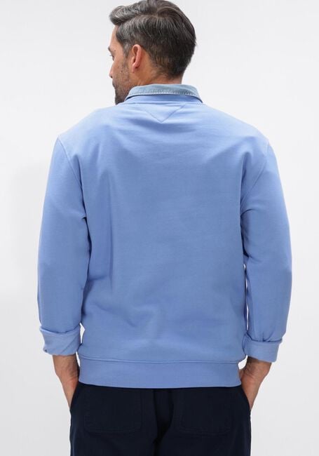 Lichtblauwe TOMMY JEANS Sweater TJM REG BADGE HOODIE EXT - large