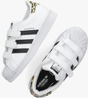 Witte ADIDAS Lage sneakers SUPERSTAR CF C - medium