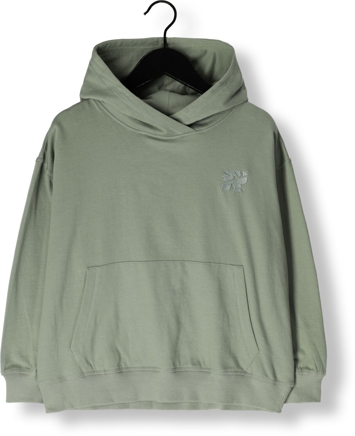 Raizzed hoodie Austin met backprint zachtgroen