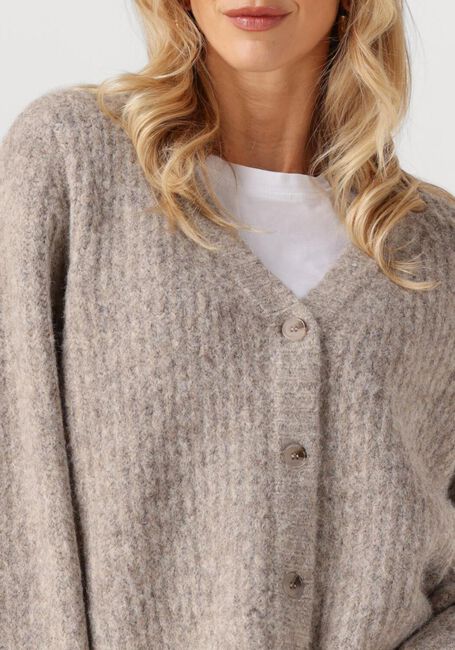 CO'COUTURE CHARLIE V CARDIGAN - large