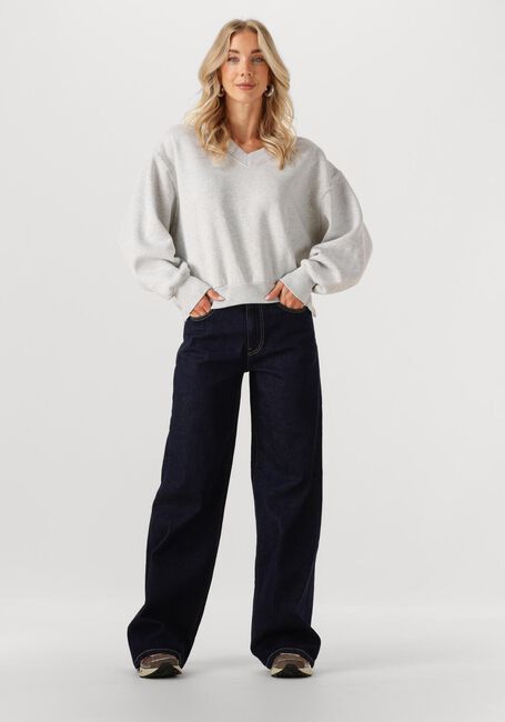 Grijze CATWALK JUNKIE Sweater SWEATER WITH VNECK - large