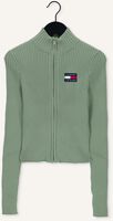 Groene TOMMY JEANS Vest TJW BADGE ZIP TRHU SWEATER Groene TOMMY JEANS Vest TJW BADGE ZIP TRHU SWEATER - medium
