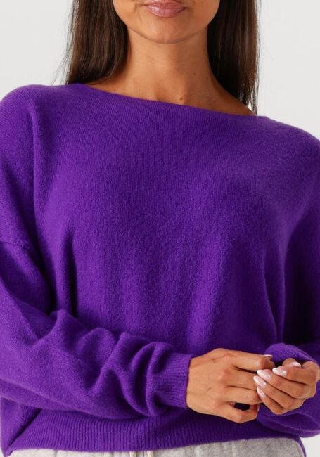 Paarse AMERICAN VINTAGE Trui DAMSVILLE - large
