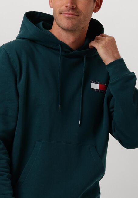 Groene TOMMY JEANS Truien/vesten TJM REG ESSENTIAL FLAG HOOD EXT - large