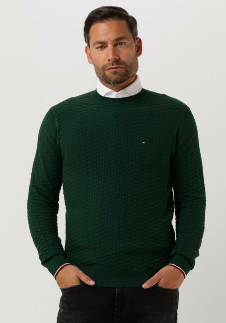 Veranderlijk Succesvol voorzien Donkergroene TOMMY HILFIGER Trui EXAGGERATED STRUCTURE CREW NECK | Omoda