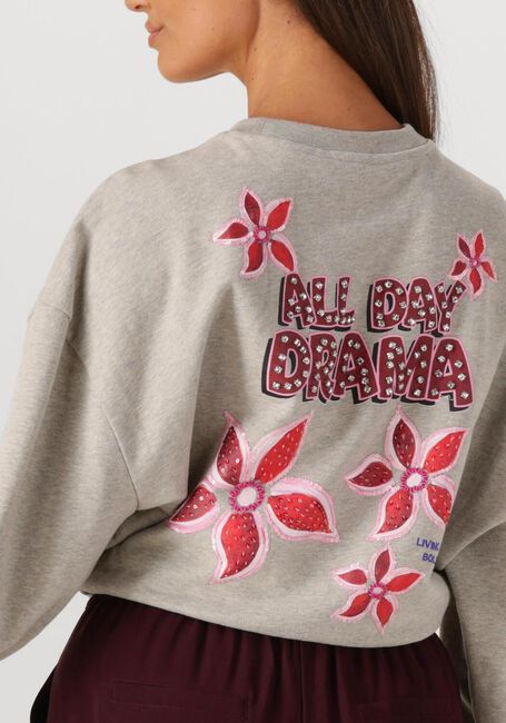 Grijze HARPER & YVE Sweater ALLDAYDRAMA-SW - large