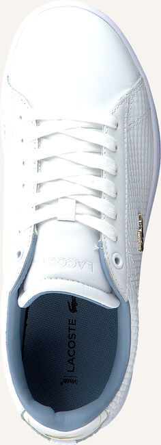 Witte LACOSTE Lage sneakers CARNABY EVO DAMES Witte LACOSTE Lage sneakers CARNABY EVO DAMES - large