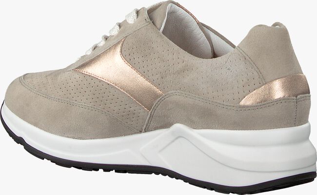 Beige HASSIA Lage sneakers VALENCIA - large