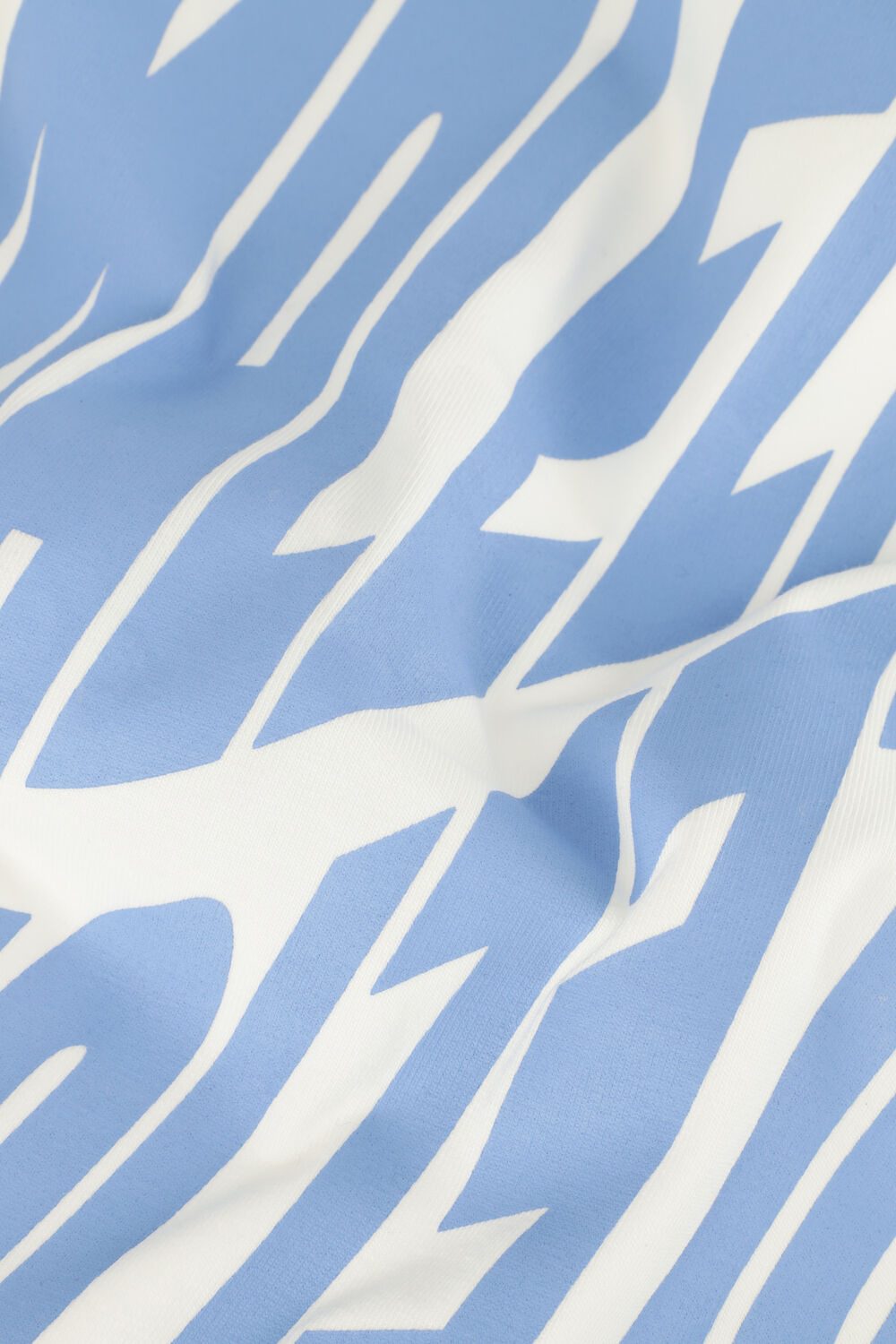 Witte MALELIONS T-shirt T-SHIRT - large