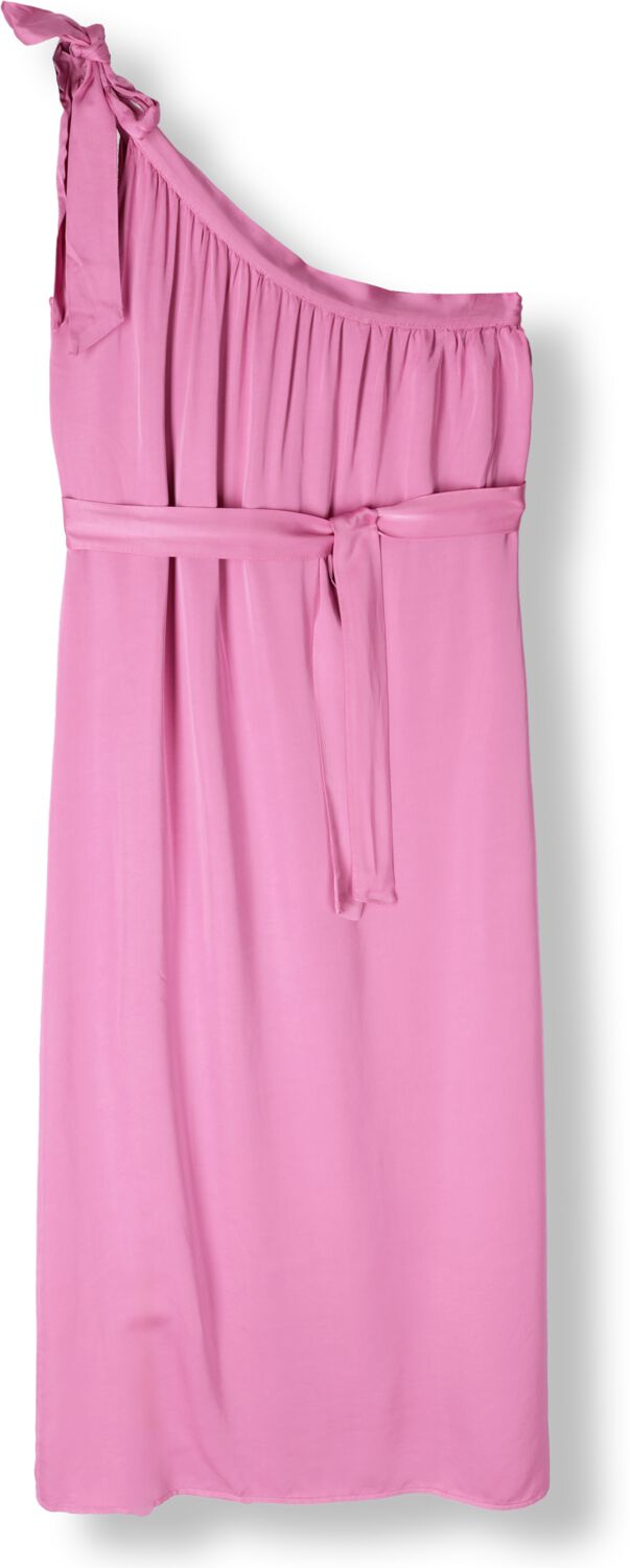 FREEBIRD Dames Jurken Dima Roze