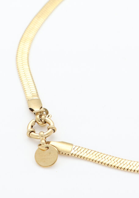 Goudkleurig BONNIE STUDIOS Kettingen BONNIE SNAKE NECKLACE - large
