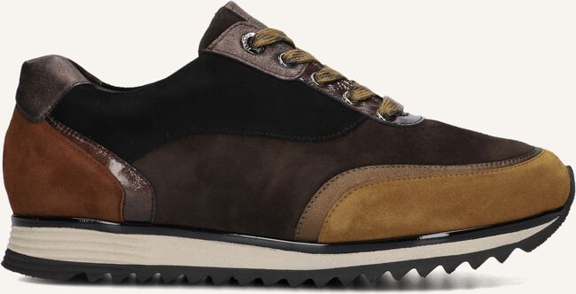 Bruine HASSIA Lage sneakers 302054 Bruine HASSIA Lage sneakers 302054 - large