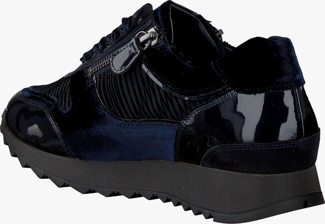 Blauwe HASSIA 1825 Sneakers - large